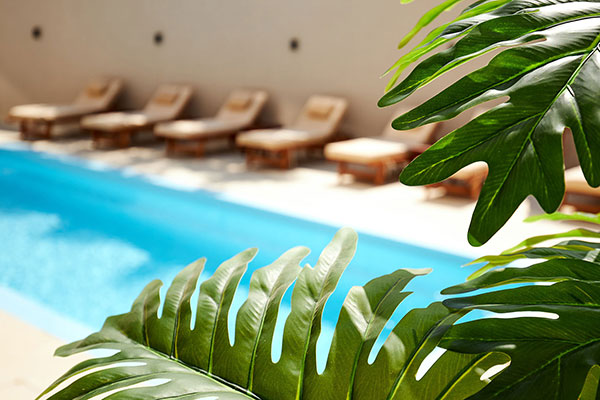 Lotus Rise Adults Only Hotel Pool